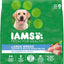 Paquete: Iams MiniChunks Small Kibble + Alimento seco para perros de razas grandes con pollo real