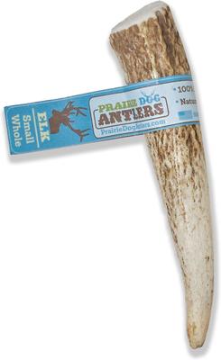 Whole Elk Antler Dog Chews, 4 - 5.5 inch