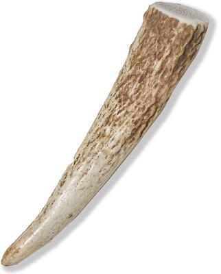 Whole Elk Antler Dog Chews, 4 - 5.5 inch