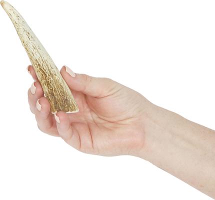 Whole Elk Antler Dog Chews, 4 - 5.5 inch