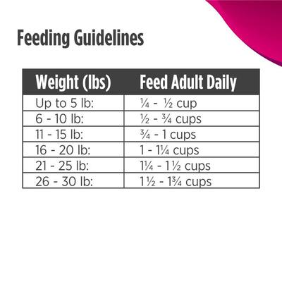 FreeStyle Limited Ingredient Turkey Recipe Small Breed High-Protein & Grain-Free Puppy & Adult Dry Dog Food, 5.5-lb bag