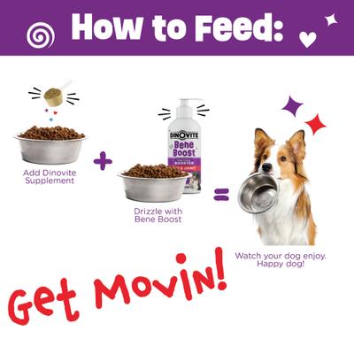 BeneBoost Hip & Joint Glucosamine Joint Mobility Liquid Supplement for Dogs, 16-fl oz bottle