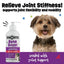 BeneBoost Hip & Joint Glucosamine Joint Mobility Liquid Supplement for Dogs, 16-fl oz bottle