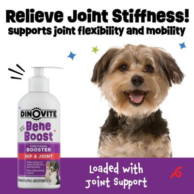 BeneBoost Hip & Joint Glucosamine Joint Mobility Liquid Supplement for Dogs, 16-fl oz bottle