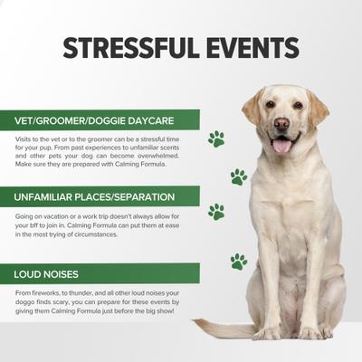 Calming Formula Dog Supplement, 45 count