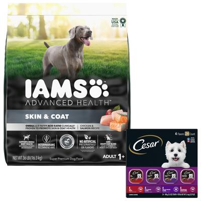 Bundle: Iams Advanced Health Skin & Coat Chicken & Salmon Recipe Dry Food + Cesar Classic Loaf in Sauce Adult Beef Recipe, Filet Mignon, Grilled Chicken, & Porterhouse Steak Flavors Variety Pack Wet Dog Food