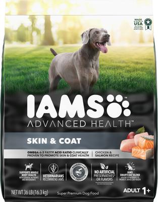 Bundle: Iams Advanced Health Skin & Coat Chicken & Salmon Recipe Dry Food + Cesar Classic Loaf in Sauce Adult Beef Recipe, Filet Mignon, Grilled Chicken, & Porterhouse Steak Flavors Variety Pack Wet Dog Food