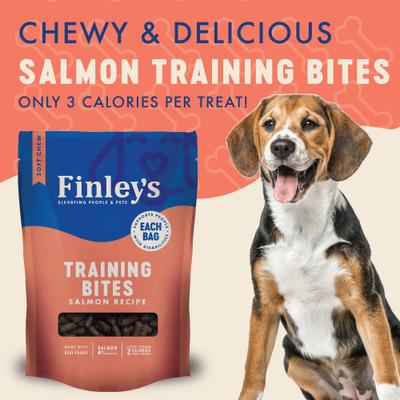 Barkery Salmon Recipe Soft Chew Training Bites Dog Treats, 16-oz bag