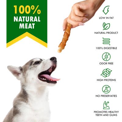 Dried Snacks Biscuit Sticks Chicken Human Grade Rawhide-Free & Grain-Free Natural Dog Chews, 10.6-oz bag