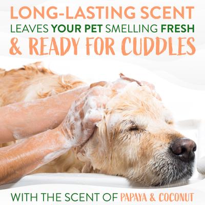 Luxury 2-in-1 Papaya & Coconut Dog Shampoo & Conditioner, 2.5-gal bottle, bundle of 2