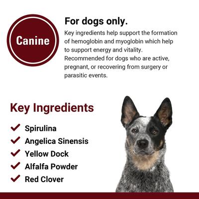 Blood & Energy Blood & Endurance Support Chewable Tablets Dog Supplement, 120 count