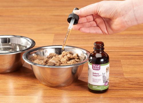 Kidney Support Dog & Cat Supplement, 2-fl oz bottle