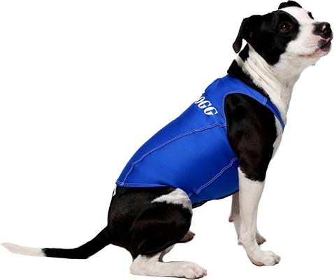 Anxiety Vest for Dogs, Royal Blue, X-Large
