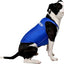 Chaleco antiansiedad para perros, azul rey, extragrande