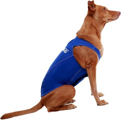 Anxiety Vest for Dogs, Royal Blue, X-Large