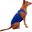 Chaleco antiansiedad para perros, azul rey, extragrande
