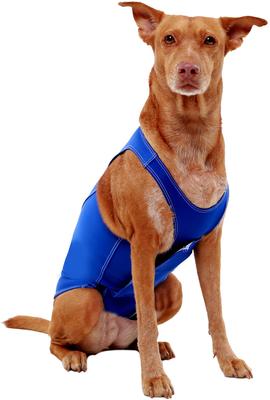 Anxiety Vest for Dogs, Royal Blue, X-Large