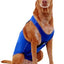 Chaleco antiansiedad para perros, azul rey, extragrande