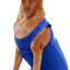 Anxiety Vest for Dogs, Royal Blue, X-Large
