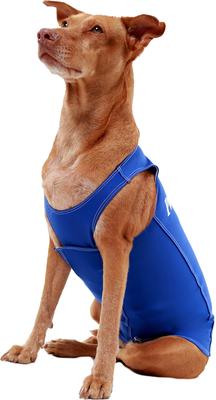 Anxiety Vest for Dogs, Royal Blue, X-Large