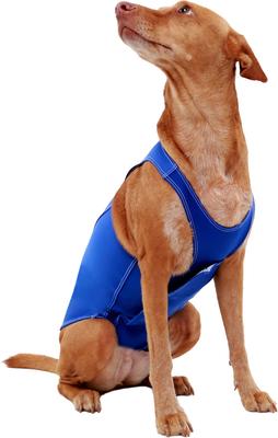 Anxiety Vest for Dogs, Royal Blue, X-Large