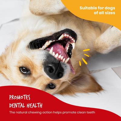 Beefhide Twist Chicken Jerky Dog Treats, 36-oz bag