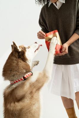 Peanut Butter Pretzels Crunchy Dog Treats, 4-oz bag