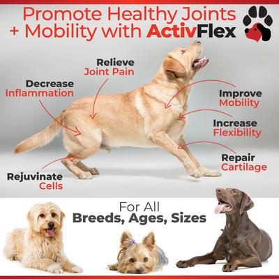 ActivFlex Advanced Hip & Joint Natural Peanut Butter Flavor Soft Chews Dog Supplement, 120 count