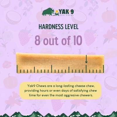 Blueberry Yak Chew Dog Treats, X-Small, 2 count