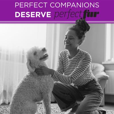 PerfectFur Detangling Curly & Wavy Coat Dog Shampoo, 16-fl oz bottle