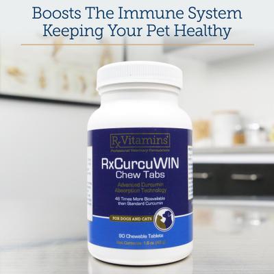 RxCurcuWIN Chewable Tablet Immune Supplement for Cats & Dogs, 90 count
