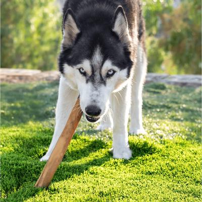Smoked Super Bull Sticks 12-inch Dog Treat