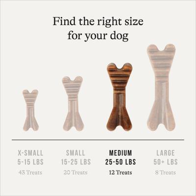 Grain-Free Medium Dental Dog Treats Mint Flavor, 12 count