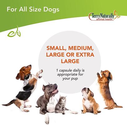 Bladder Control Dog Supplement, 30 count