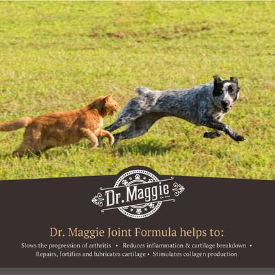 Dr. Maggie by NaturPet Inc. Joint Formula Glucosamine, MSM & Chondroitin for Cats & Dogs, 16-fl oz bottle