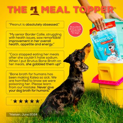 Brothcicles Turkey Bone Broth Flavor with Superfoods for Hydration Dog & Cat Wet Food Topper, 2-oz pouch, case of 6