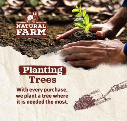 6-in Beef Bully Sticks Dog Treats, 8-oz