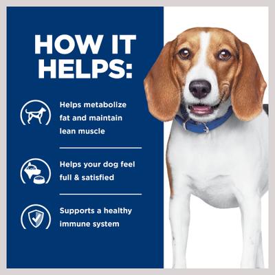 r/d Weight Reduction/Management Original Wet Dog Food, 12.3-oz can, case of 12