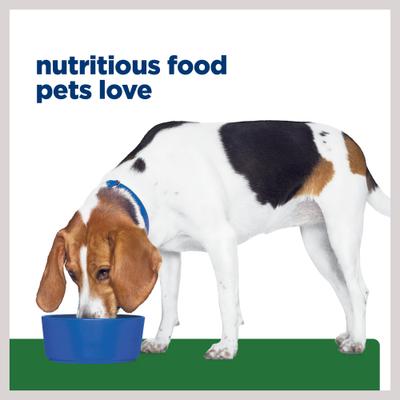 r/d Weight Reduction/Management Original Wet Dog Food, 12.3-oz can, case of 12