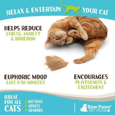 All-Natural Silvervine Powder for Cats, 2.6-oz jar