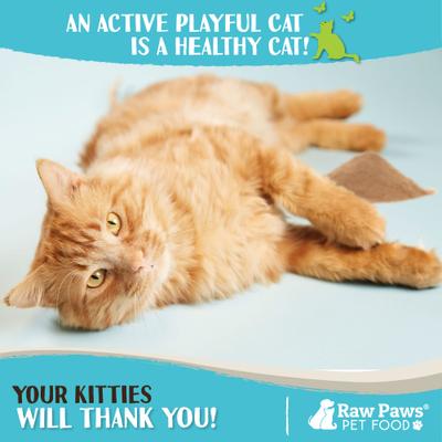 All-Natural Silvervine Powder for Cats, 2.6-oz jar