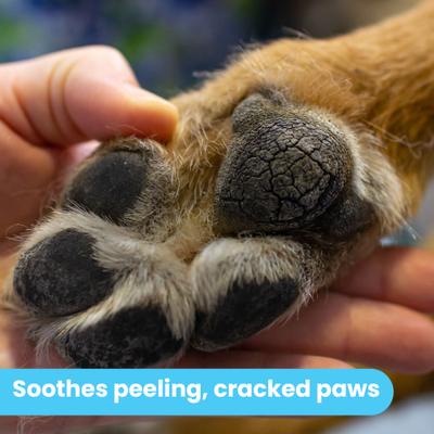 Bálsamo hidratante orgánico para patas de perro, tubo de 0.15 onzas líquidas