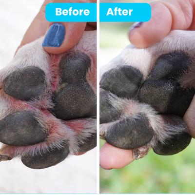 Bálsamo hidratante orgánico para patas de perro, tubo de 0.15 onzas líquidas