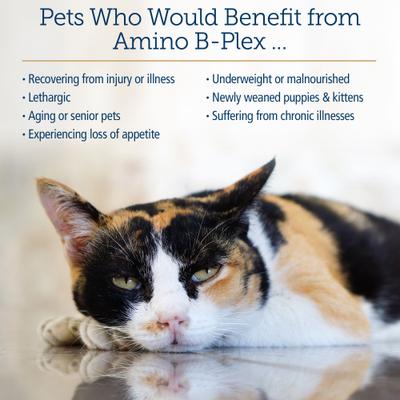 Amino B-Plex Liquid Nutritional Supplement for Cats & Dogs, 2-fl oz bottle