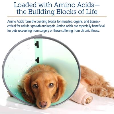 Amino B-Plex Liquid Nutritional Supplement for Cats & Dogs, 2-fl oz bottle