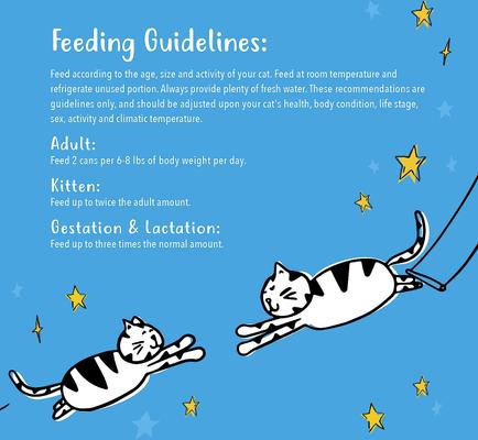 Grain-Free Pate Salmon Recipe Canned Cat Food, 3-oz can, case of 24