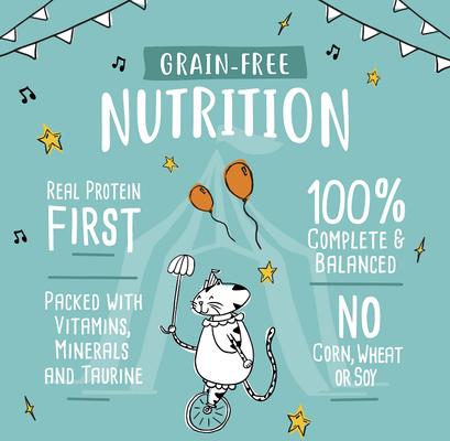 Grain-Free Pate Salmon Recipe Canned Cat Food, 3-oz can, case of 24