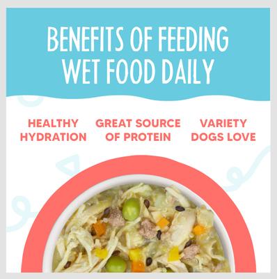 Meals 'n More Natural Wet Dog Food, Jammin' Salmon Plus Skin & Coat Health, 3.5-oz cup, 12 count