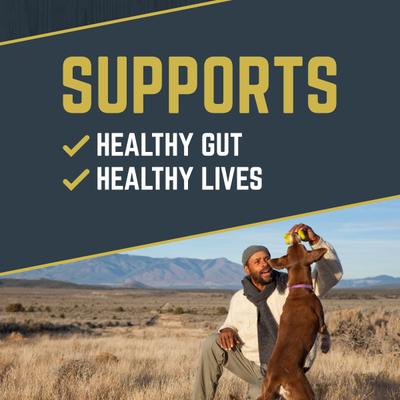 Daily Defense Turkey Flavored Soft Chew Gut Health Supplement for Dogs, 10.5-oz jar