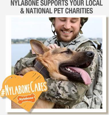 Healthy Edibles Longer Lasting Chicken Flavor Dog Bone Treat, X-Large, bundle of 2